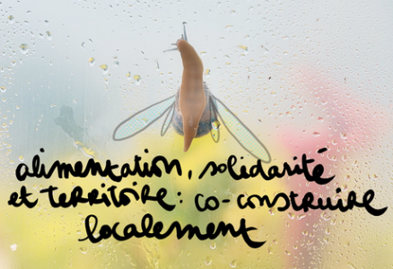 Formation : Alimentation, solidarités et territoire : co-construire localement