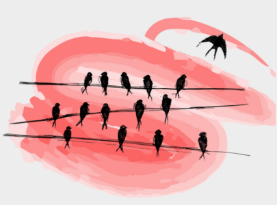 Formation : Artisan-e de justice sociale