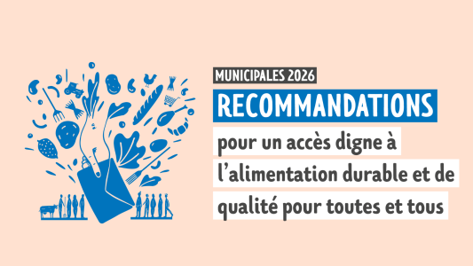 Webinaire : Municipales 2026 - Appropriation des recommandations et mise en situation 